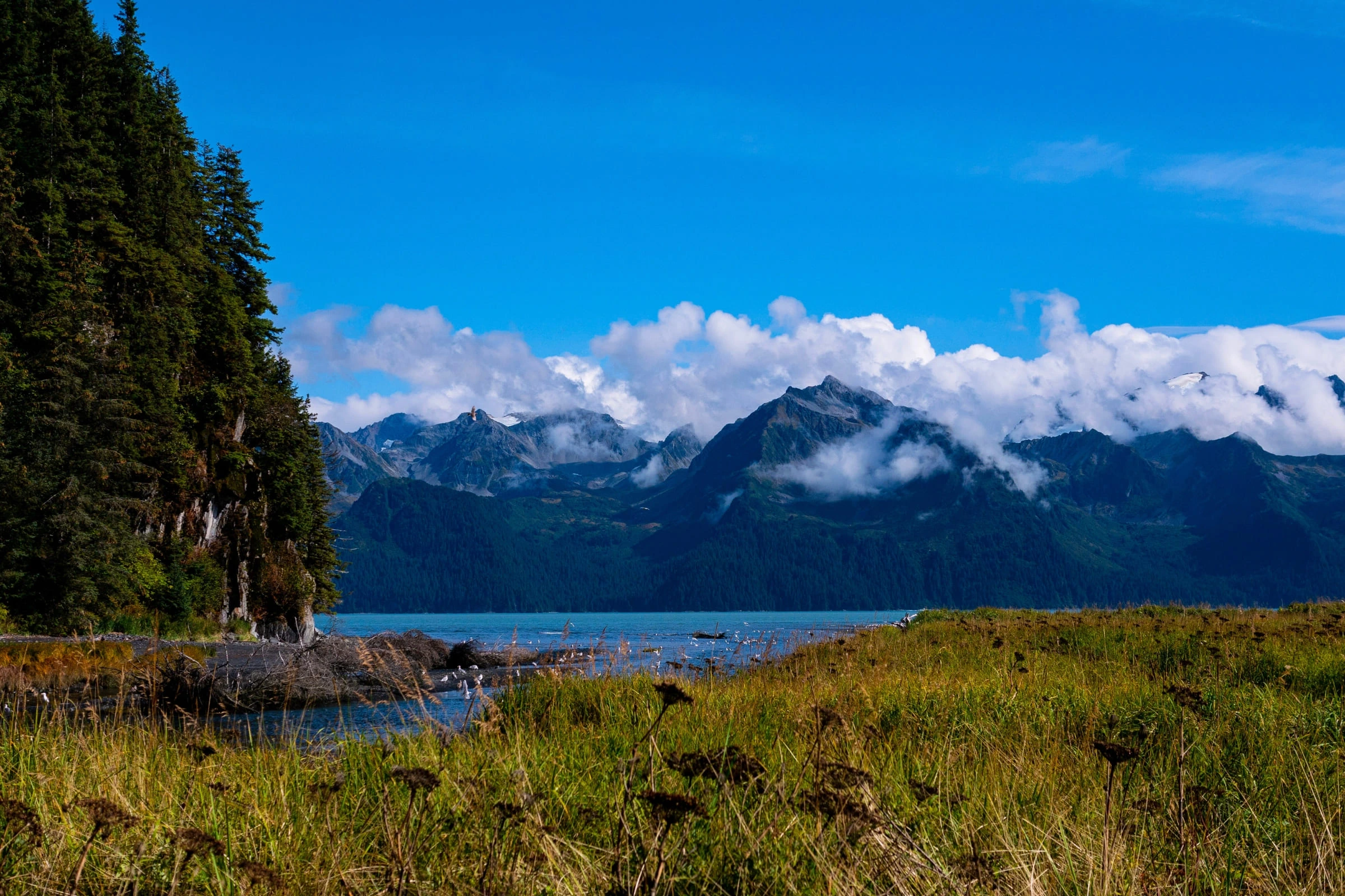 Alaska Cruise with Seward & Vancouver Stays – Celebrity Summit